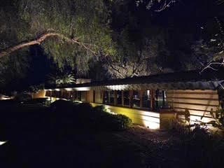 Long low elevation with a lit interior band under the tree canopy