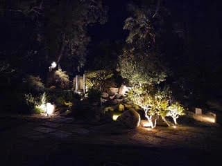 Uplit trees and boulders in the garden