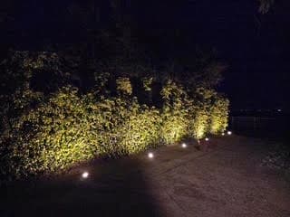 Hedge row traced with ground lighting