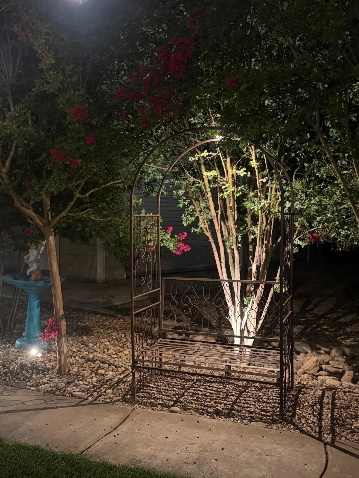 Iron garden arbor with uplit birch trunks