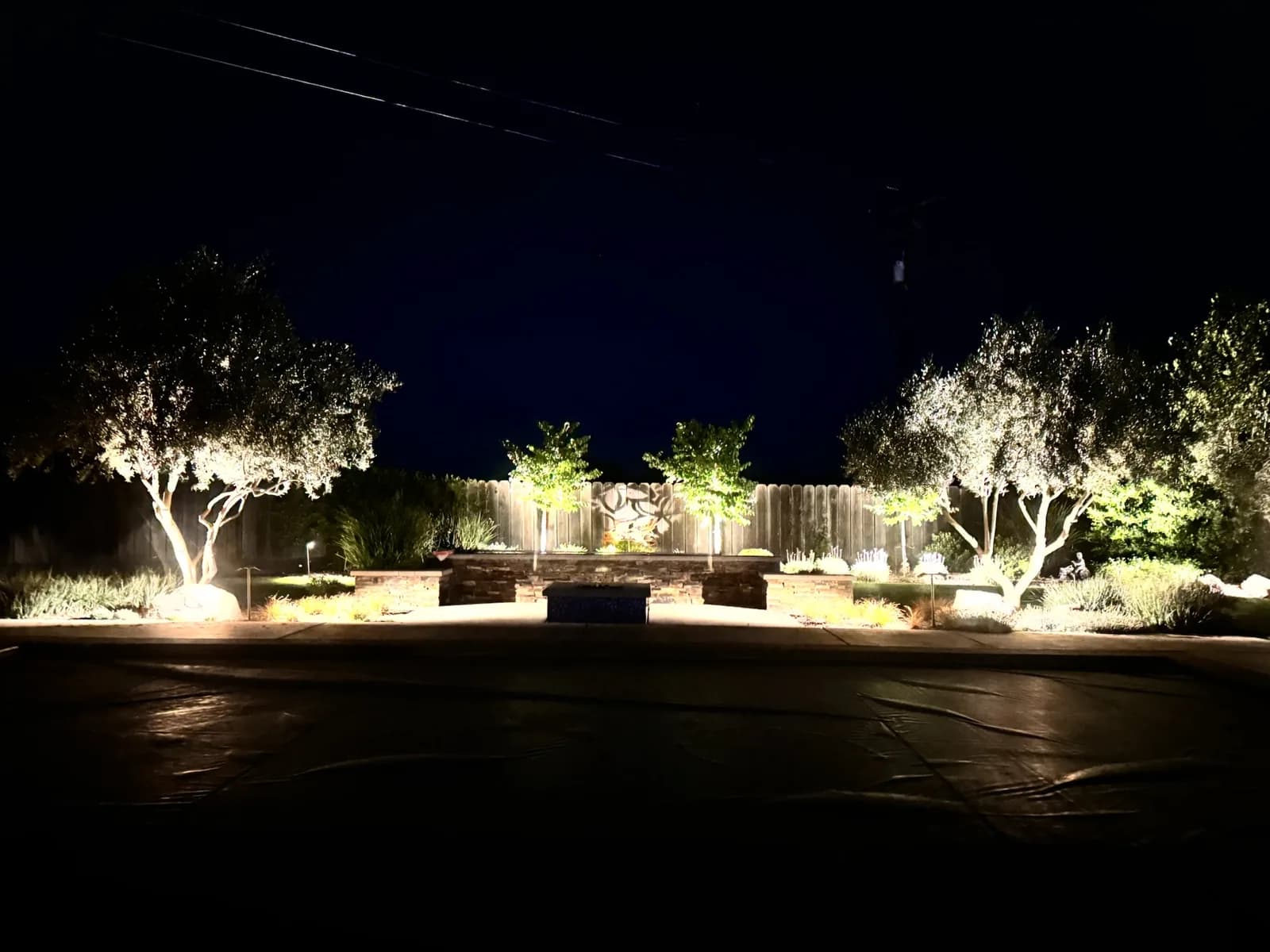 Row of uplit trees along a back fence