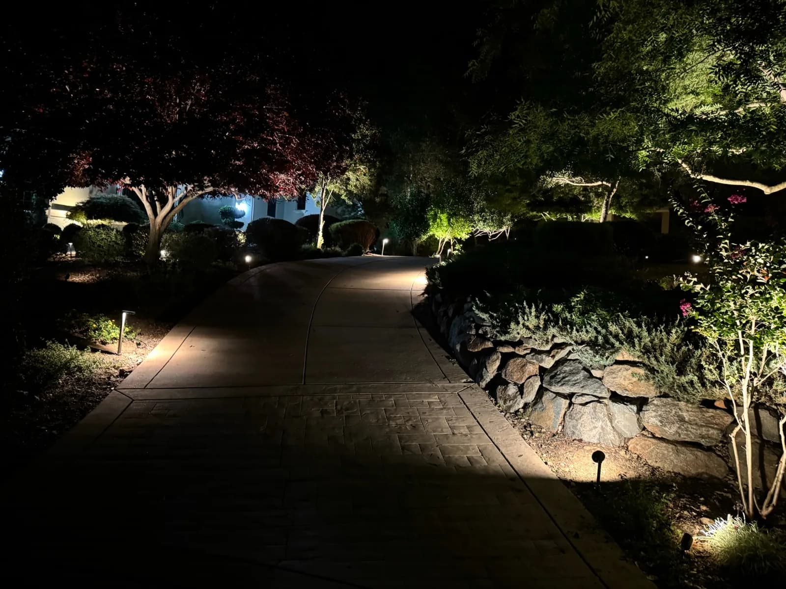 Paver driveway lined with uplit trees