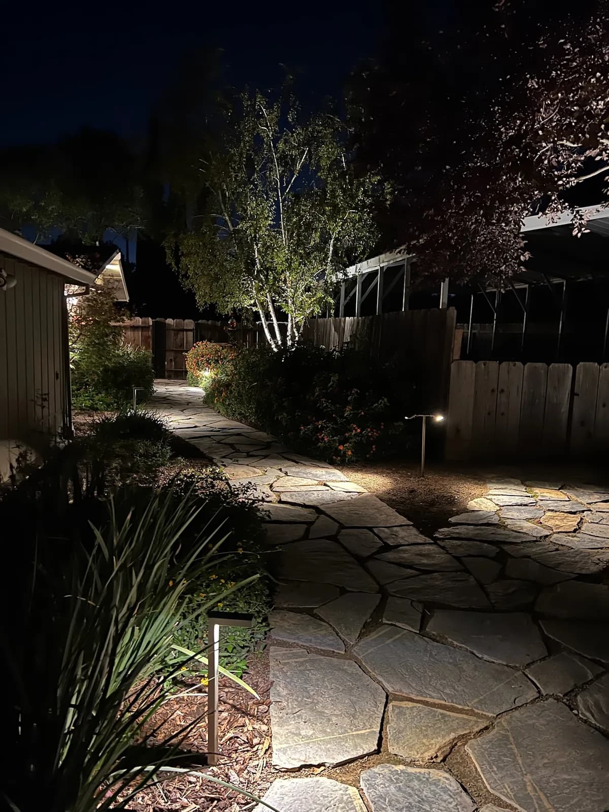 Flagstone path lit through a side yard