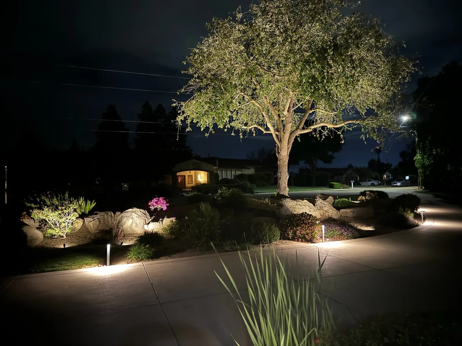 Front yard tree and boulder beds along the driveway