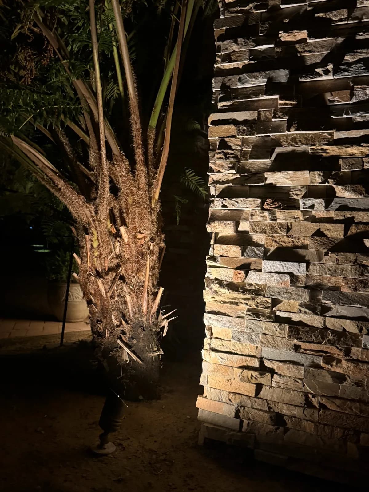 Palm and stacked stone column uplit