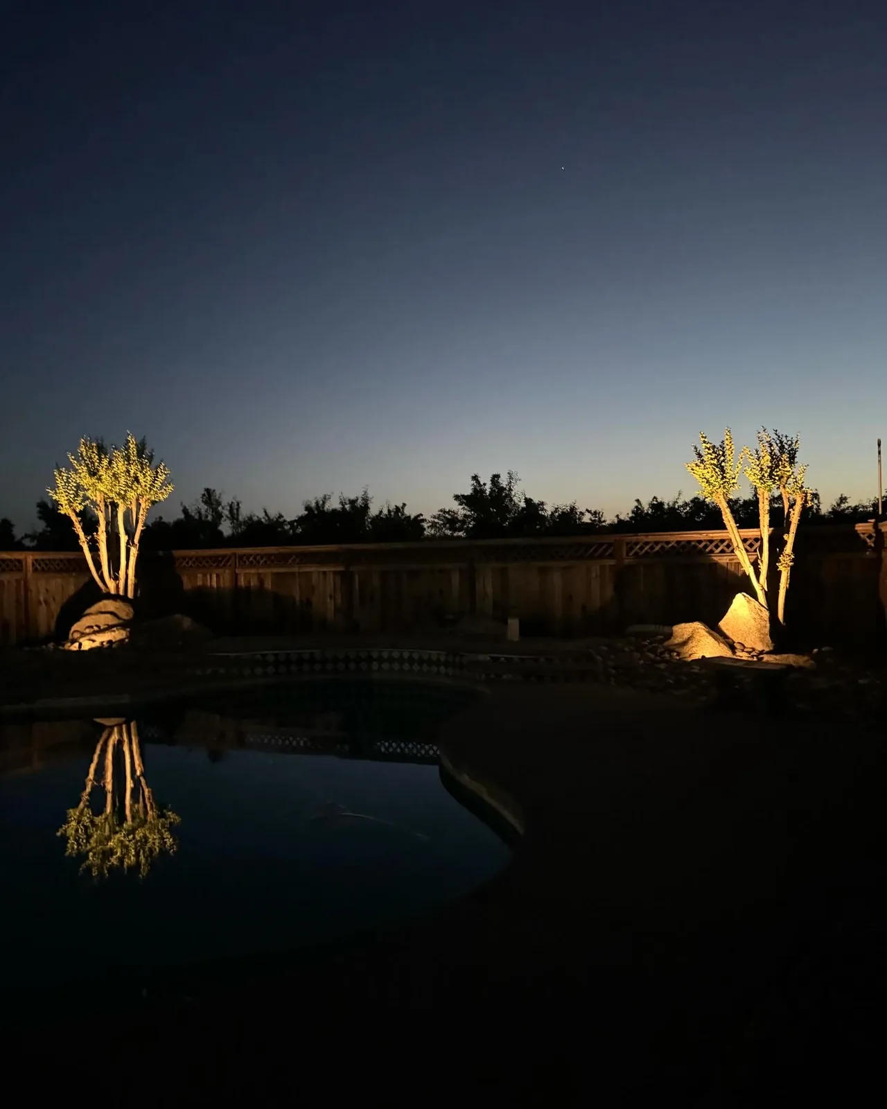 Backyard pool reflecting uplit trees at dusk