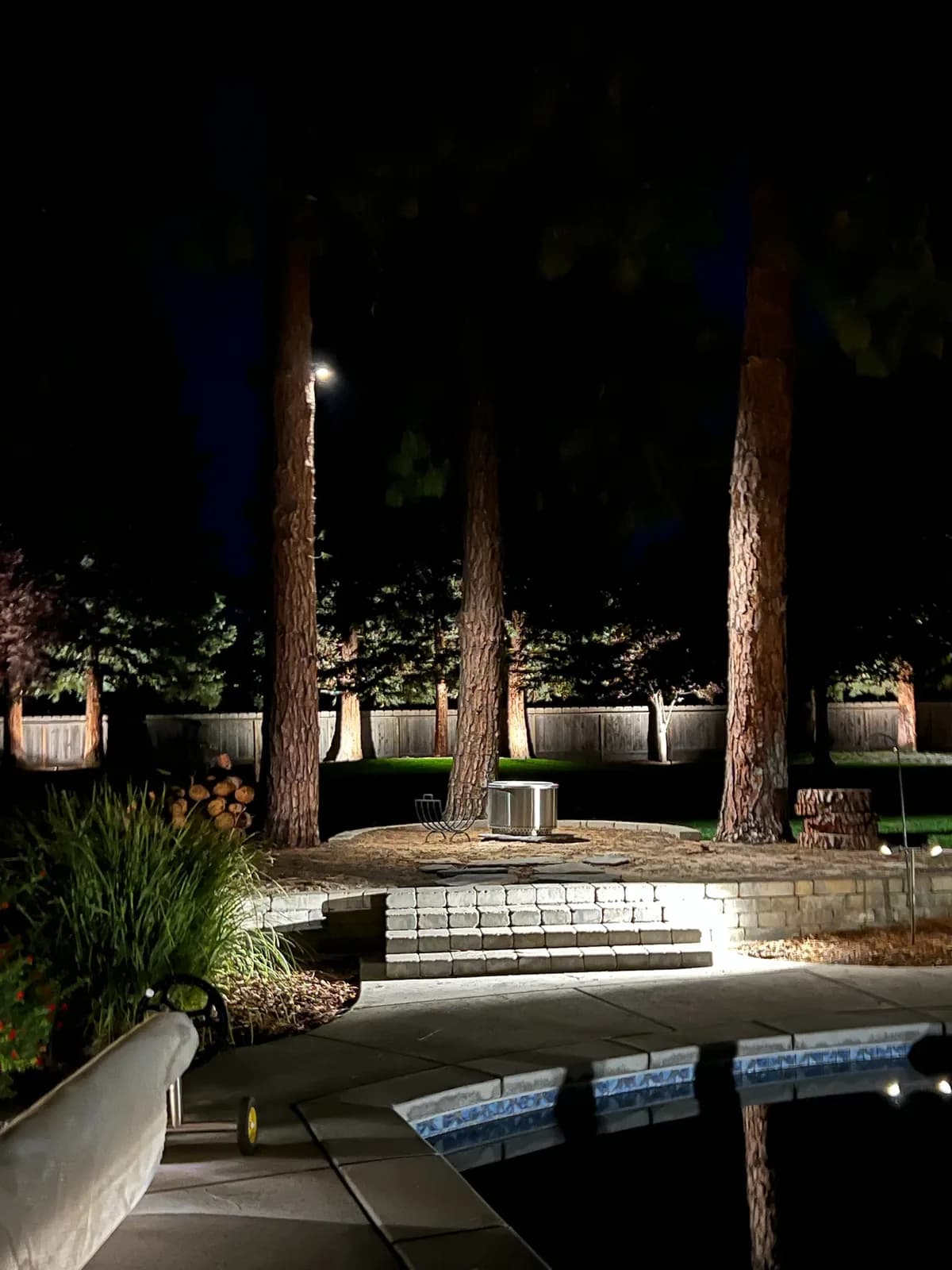 Pool steps and redwoods lit under the moon