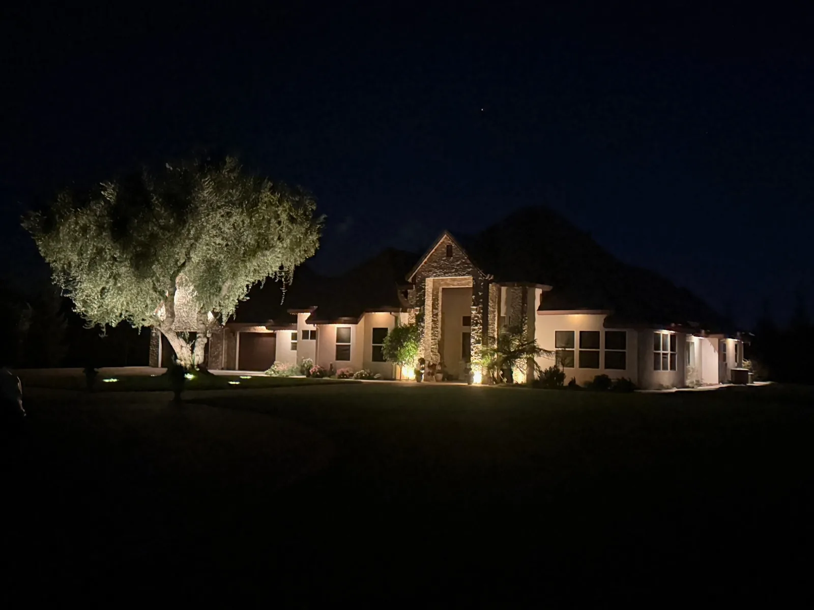 Single story estate with an uplit olive tree and warm wash
